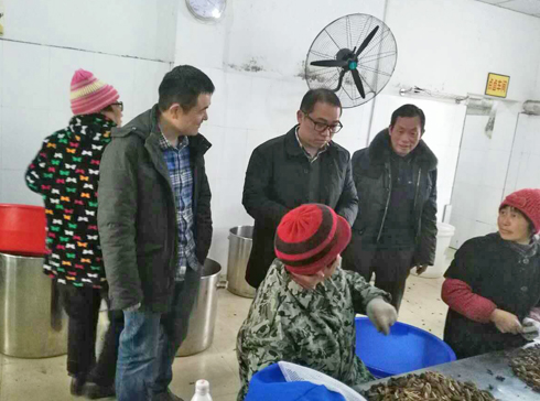 白螺鎮黨委書記,人大主席,李鋒同志一行